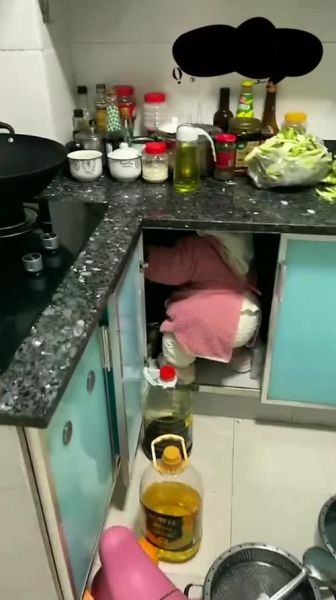 翻箱倒柜的近义词有哪些_翻箱倒柜的用法区别