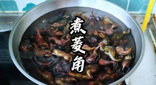 菱角怎么煮_菱角的做法大全