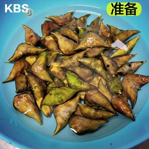 菱角怎么煮_菱角的做法大全