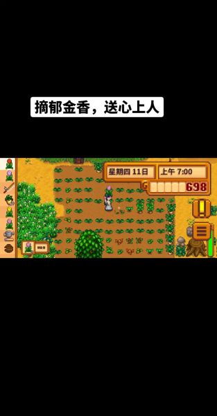 星露谷物语手机版怎么联机_星露谷物语手机版联机教程