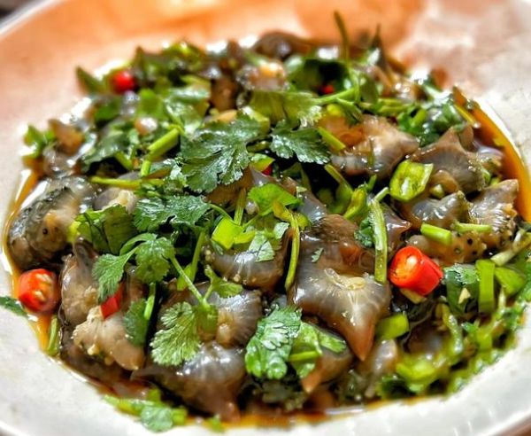 凉拌海参怎么做_海参焯水几分钟才脆弹