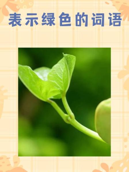 ABB绿色词语有哪些_ABB绿色词语怎么写