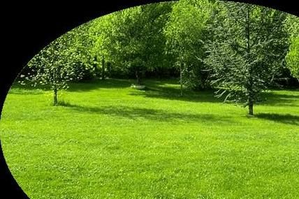 ABB绿色词语有哪些_ABB绿色词语怎么写