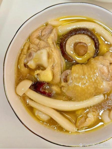 蘑菇炖鸡怎么炖才入味_蘑菇炖鸡用干香菇还是鲜香菇