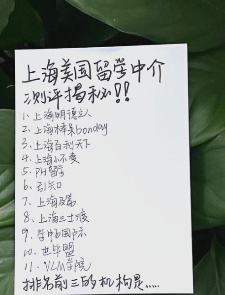 华人出国移民中介哪家好_移民美国需要什么条件