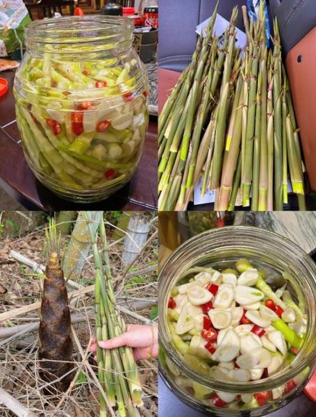 酸笋怎么腌制_酸笋的做法步骤