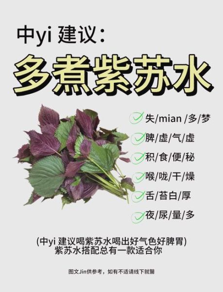 凉拌紫苏叶怎么做_紫苏叶凉拌要不要焯水