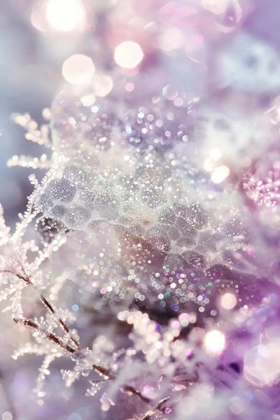 亮晶晶_是什么状态