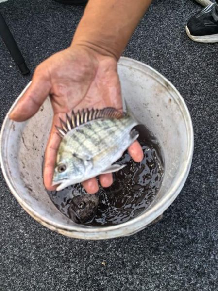 渔夫的生活是怎样的_渔夫捕鱼技巧有哪些