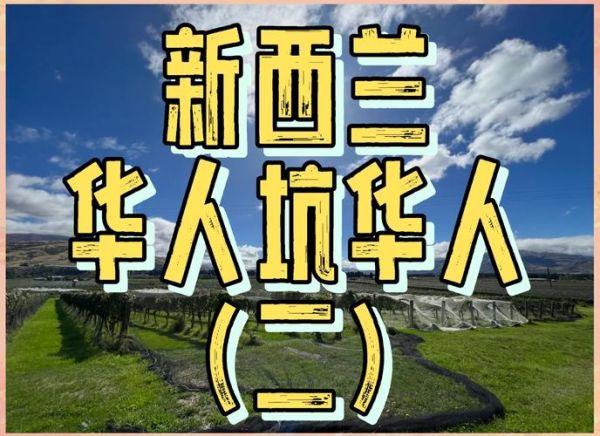 新西兰创业移民坑在哪_真实失败案例