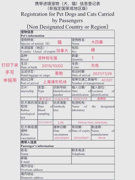 移民带宠物需要什么手续_宠物出国检疫流程