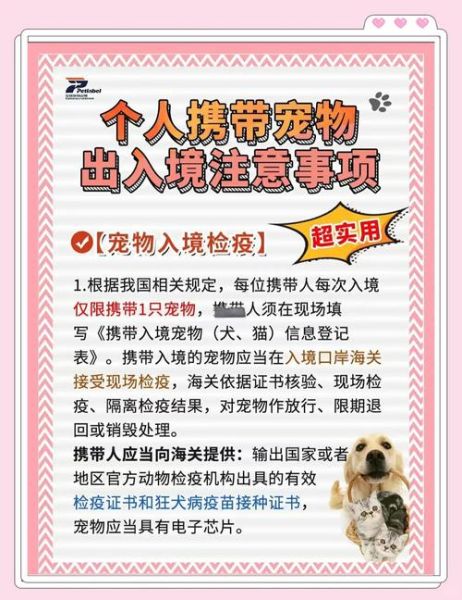 移民带宠物需要什么手续_宠物出国检疫流程