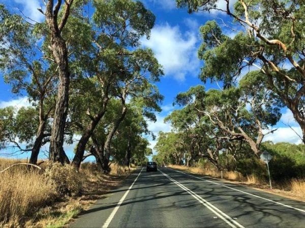 新西兰创业移民坑在哪_真实失败案例