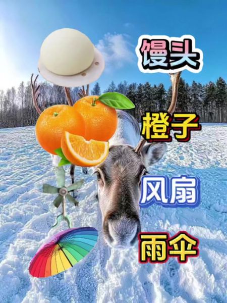 馍成语有哪些_馍字词语怎么写