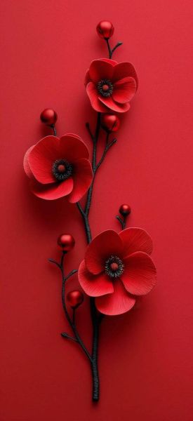 手机壁纸怎么选_高清墙纸图片哪里找