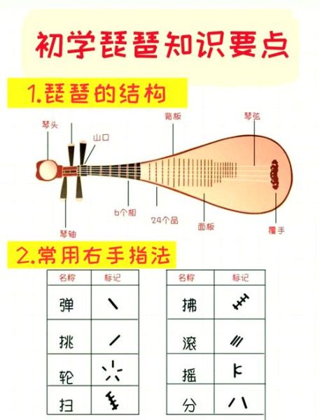琵琶和古筝的区别_琵琶怎么弹才正确