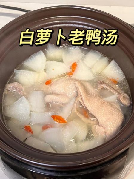 清炖老鸭汤怎么做_老鸭汤去腥技巧