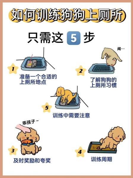 小狗狗怎么训练上厕所_小狗狗吃什么狗粮好