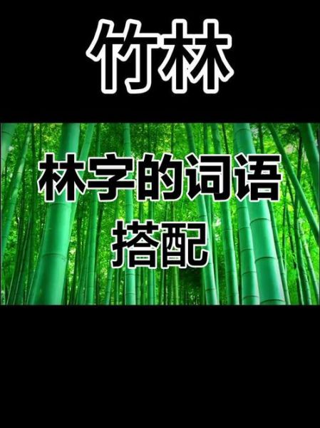 秋林组词有哪些_秋林词语怎么造句