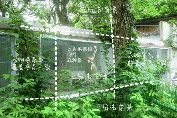 阴天适合做什么_阴天拍照怎么调参数