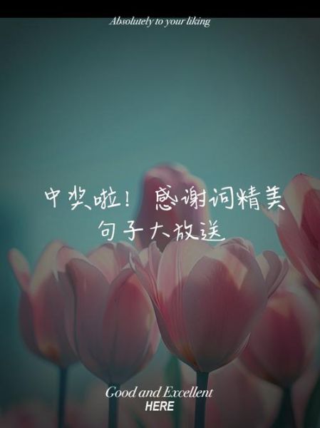 得奖后的心情词语有哪些_如何表达得奖后的激动