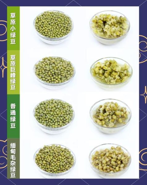 绿豆绿是什么颜色_绿豆绿和薄荷绿区别