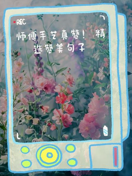 赞美手艺好的词语有哪些_怎么夸人手艺好