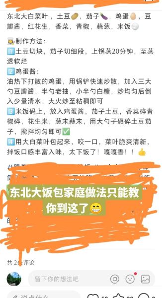 东北饭包怎么做_东北饭包的做法步骤
