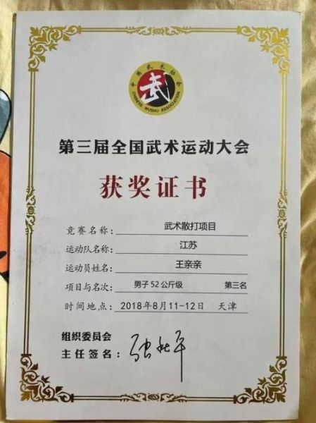 武术比赛得奖词语有哪些_如何写武术获奖感言