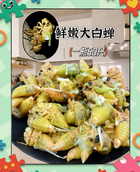 知了猴怎么保存_知了猴油炸前要不要焯水