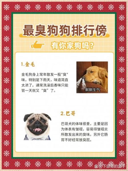 犬有哪些词语_犬类相关词汇大全