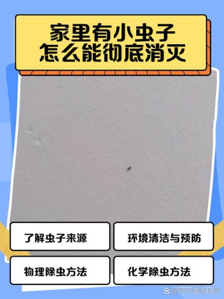 家里有虫子怎么办_如何彻底消灭室内虫害