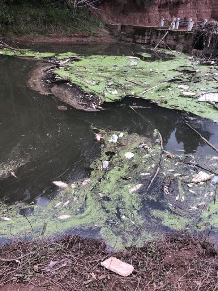 河流污染的原因有哪些_如何治理河流污染