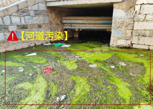 河流污染的原因有哪些_如何治理河流污染