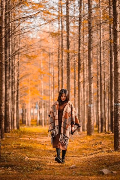 秋冬树林拍照穿什么颜色_最佳拍摄时间