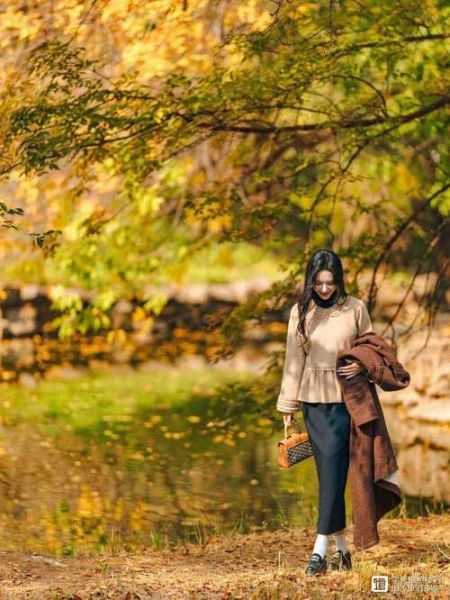 秋冬树林拍照穿什么颜色_最佳拍摄时间