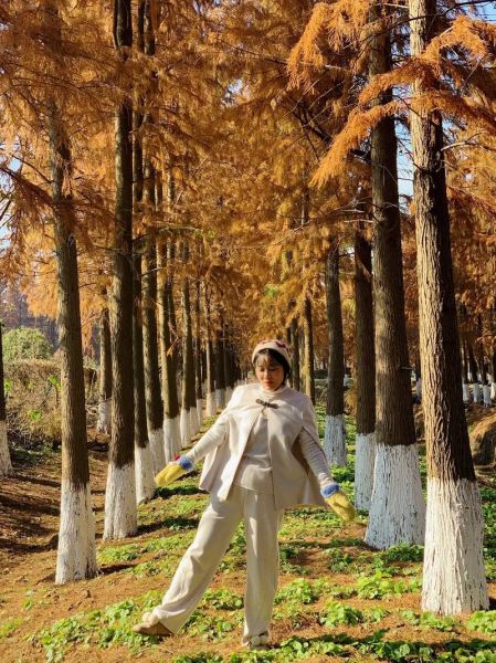 秋冬树林拍照穿什么颜色_最佳拍摄时间