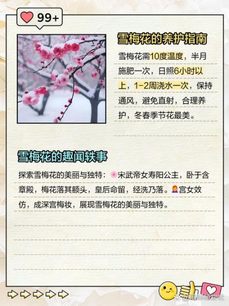 雪中梅花什么时候开_雪中梅花寓意是什么