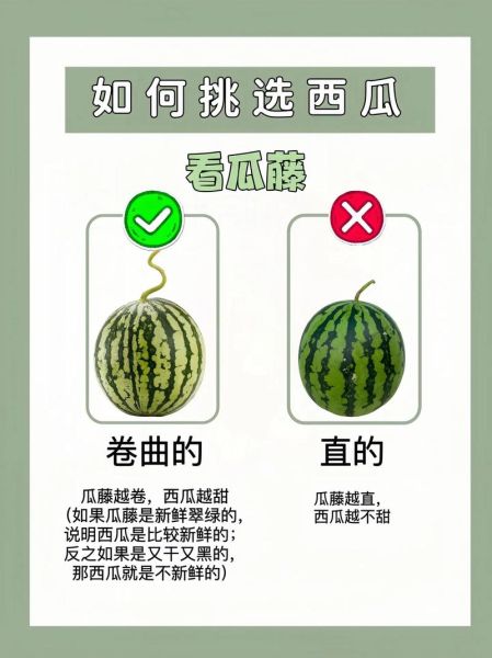 特甜水果有哪些_特甜西瓜怎么挑