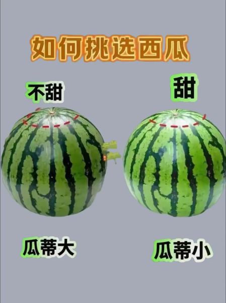 特甜水果有哪些_特甜西瓜怎么挑