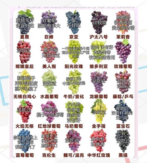 特甜水果有哪些_特甜西瓜怎么挑