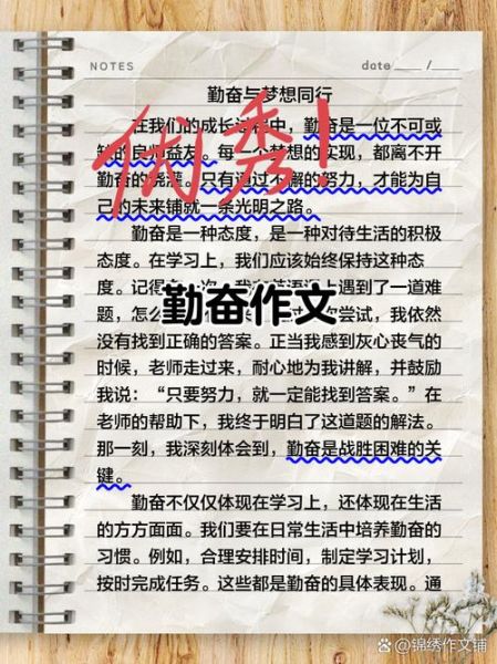 勤奋上进词语有哪些_如何用在作文里