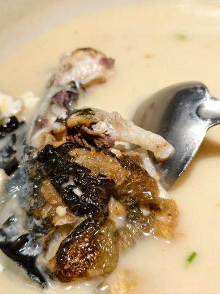 家常炖鱼头怎么做_鱼头汤不腥的秘诀