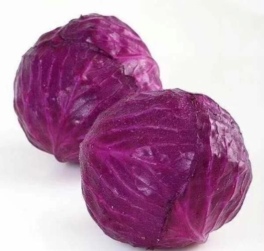 紫包菜怎么炒好吃_紫包菜凉拌需要焯水吗
