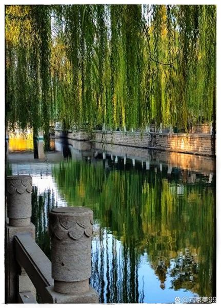 岸边景物有哪些_如何描写岸边景色