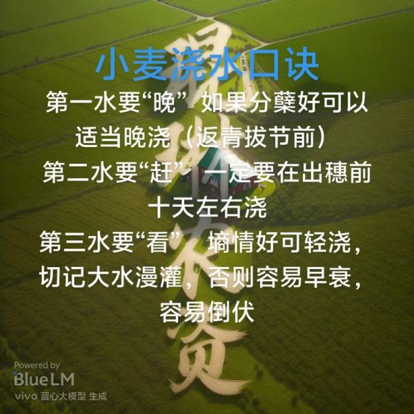 庄稼施肥多久浇一次水_庄稼发黄缺什么元素