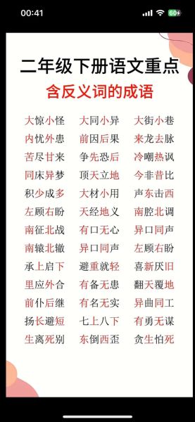 张词语脸是什么_张词语脸怎么用