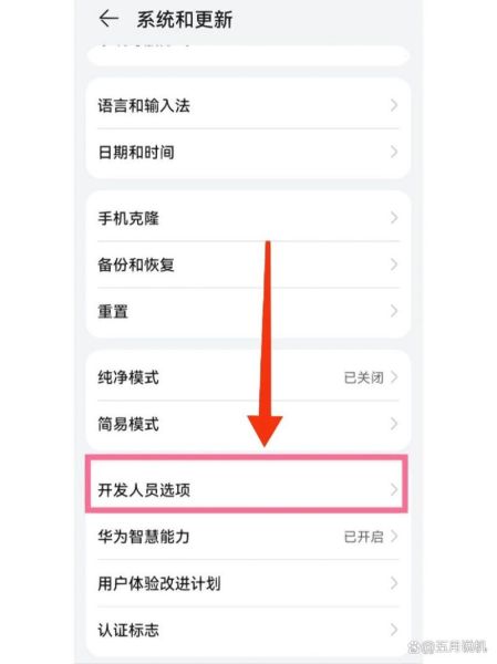 华为手机怎么进入开发者选项_开发者选项在哪