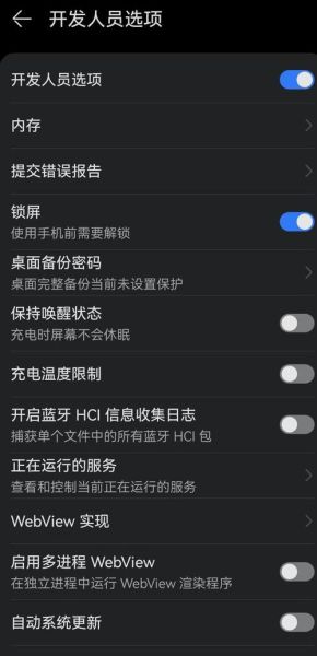 华为手机怎么进入开发者选项_开发者选项在哪