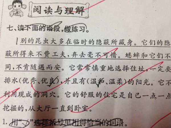 蟋蟀仿写词语有哪些_蟋蟀仿写词语怎么写